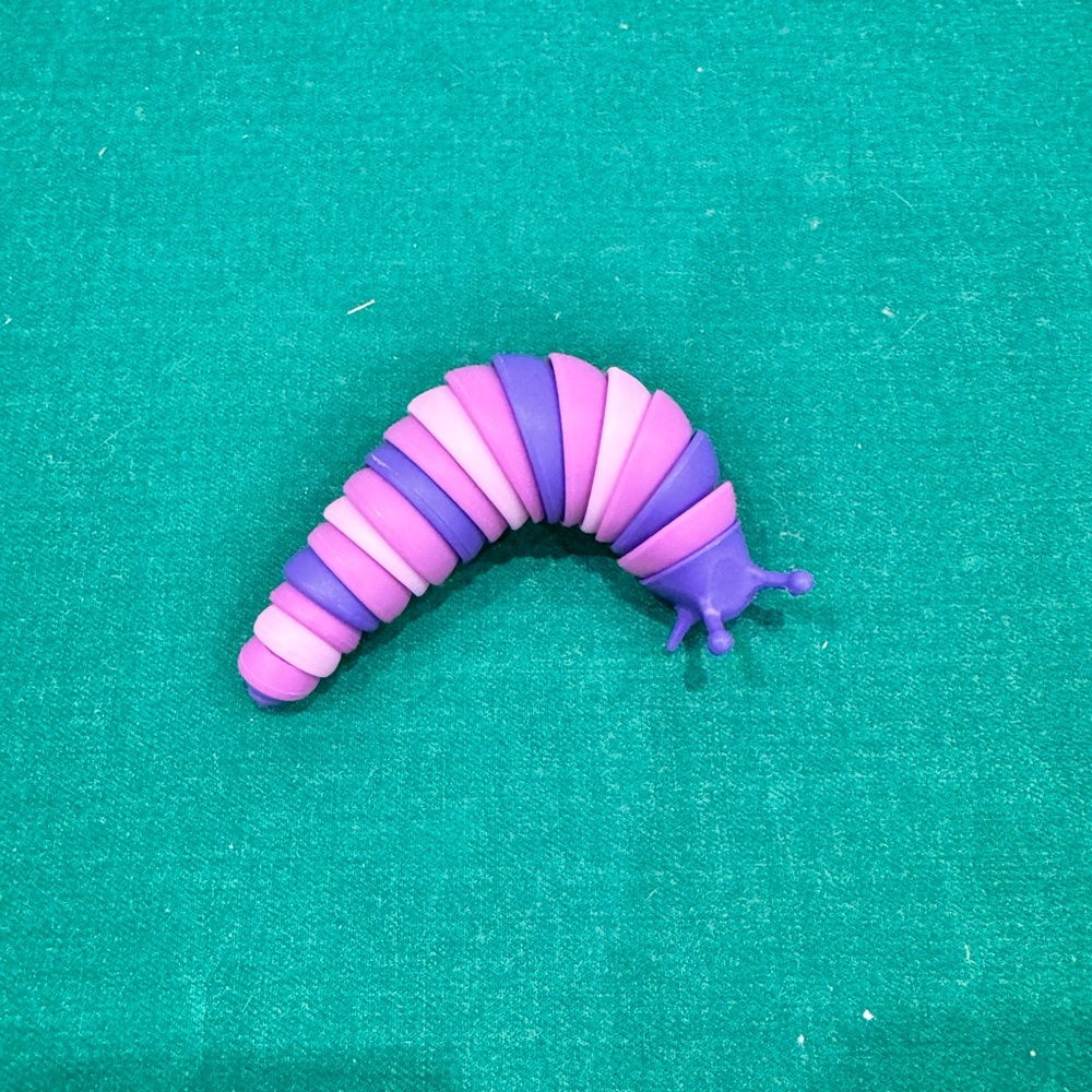Slug Fidget Toy